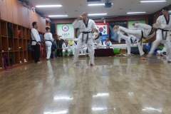 20180724_195327-Copy