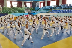 38462794_2214888611859528_8782327123743342592_n