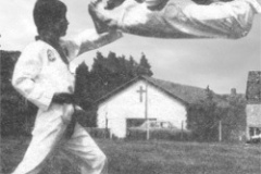 Twin jumping front kick