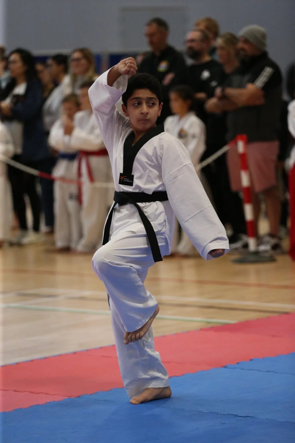 Bristol Taekwondo School student or club photograph