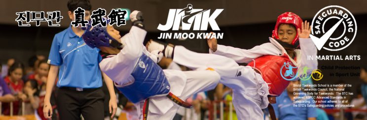 Olympic Style Taekwondo